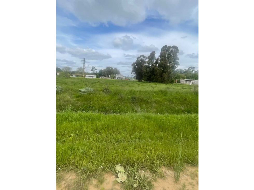 LOTE DE 1 HECTÁREA EN VENTA EN TANDIL - 6