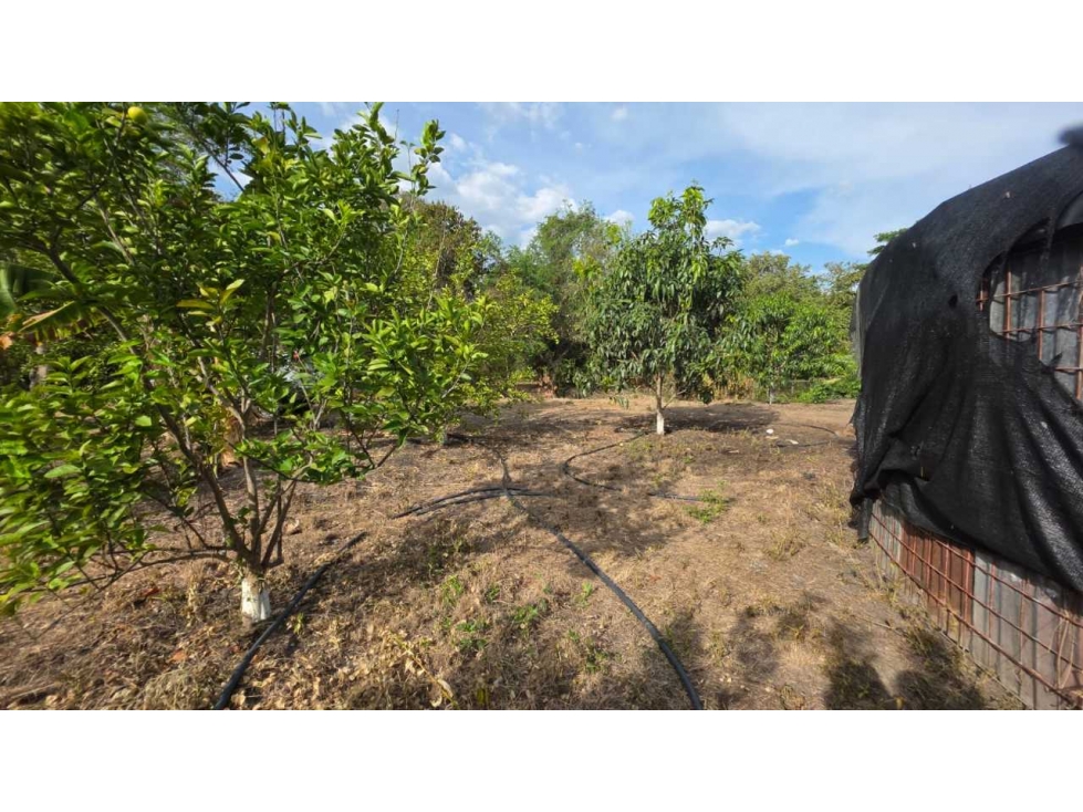 Lote de 2000 M2 en 250 mill negociables en La Mesa Cund con frutales — foto 3