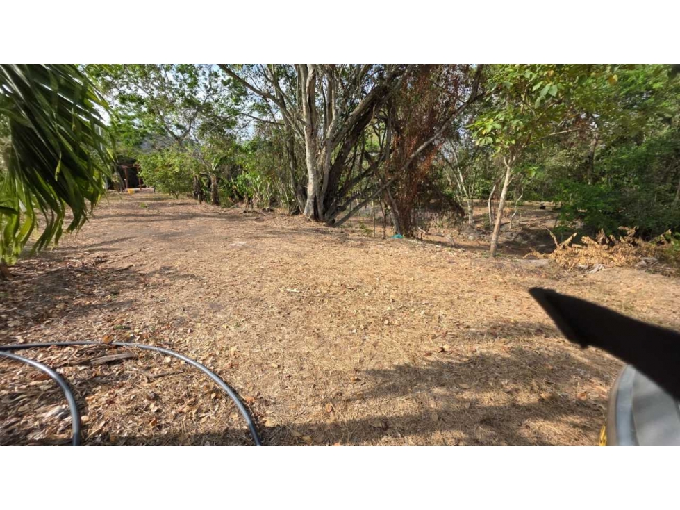 Lote de 2000 M2 en 250 mill negociables en La Mesa Cund con frutales — foto 4