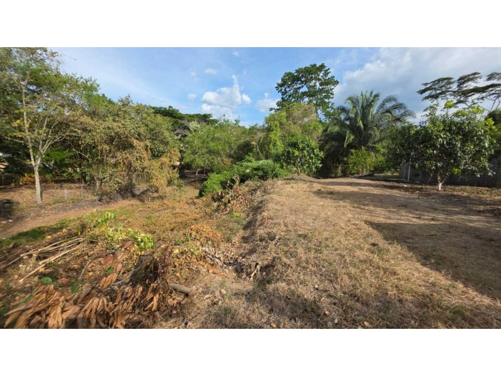 Lote de 2000 M2 en 250 mill negociables en La Mesa Cund con frutales — foto 6