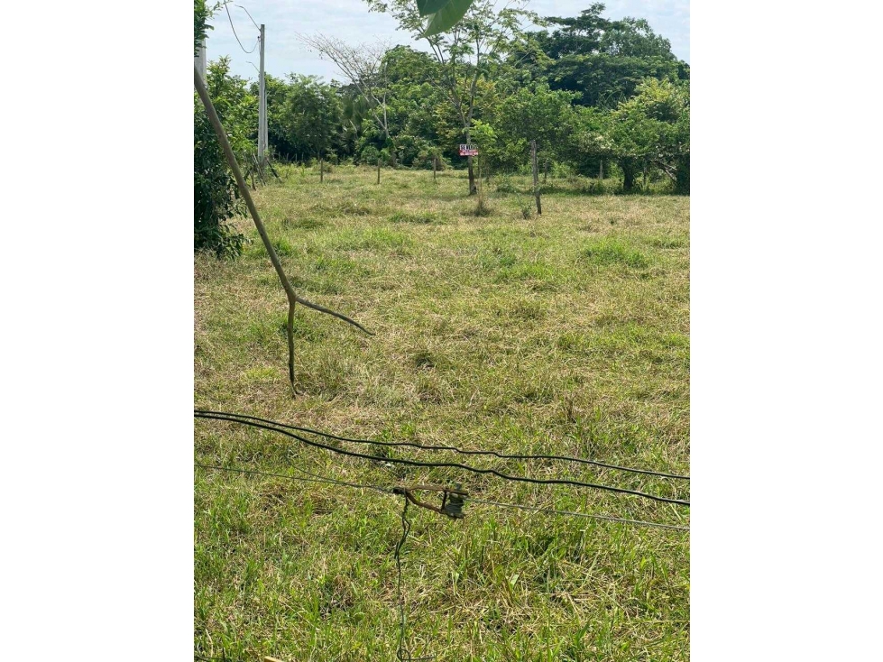 LOTE DE 2000 METROS EN VENTA EN EL SABANAL
