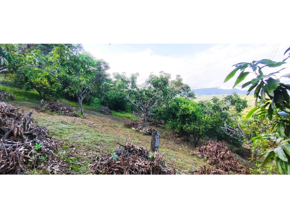 Lote de 2030 M2 en 195 mill en #lamesacundinamarca — foto 2