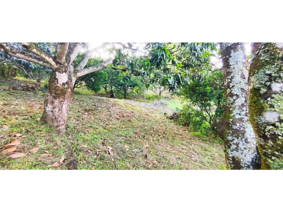 Lote de 2030 M2 en 195 mill en #lamesacundinamarca — foto 3