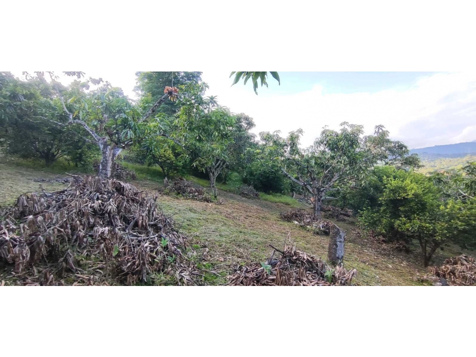 Lote de 2030 M2 en 195 mill en #lamesacundinamarca — foto 4