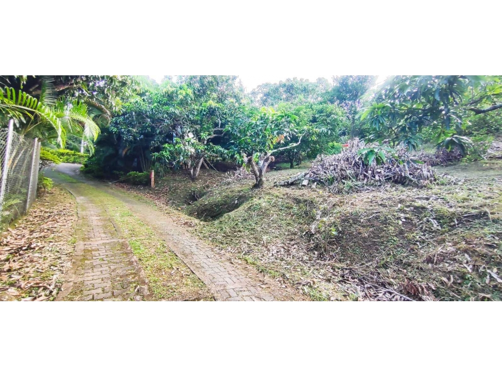 Lote de 2030 M2 en 195 mill en #lamesacundinamarca — foto 6