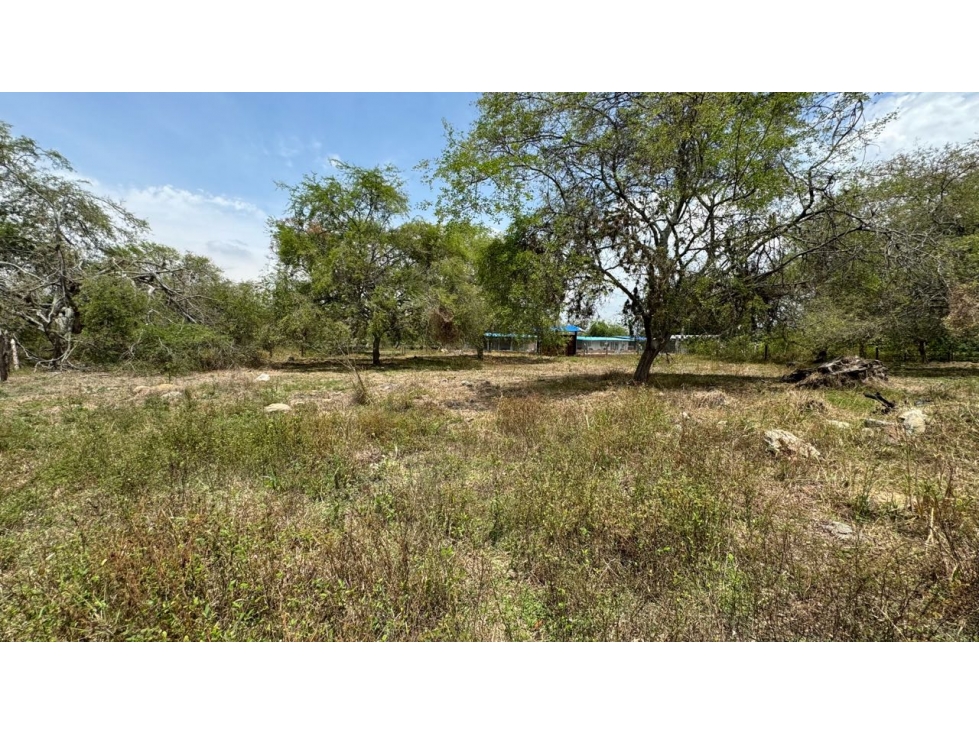 Lote de 2.080m2 en parcelación en venta Tienda Nueva Palmira Valle - 3