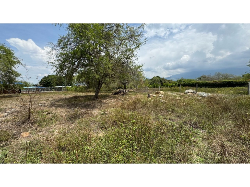 Lote de 2.080m2 en parcelación en venta Tienda Nueva Palmira Valle - 4