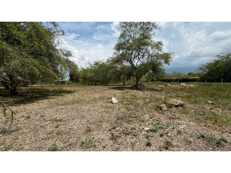 Lote de 2.080m2 en parcelación en venta Tienda Nueva Palmira Valle - 5