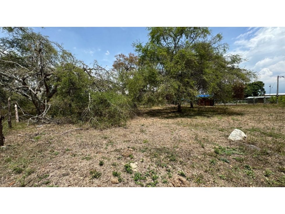 Lote de 2.080m2 en parcelación en venta Tienda Nueva Palmira Valle - 6