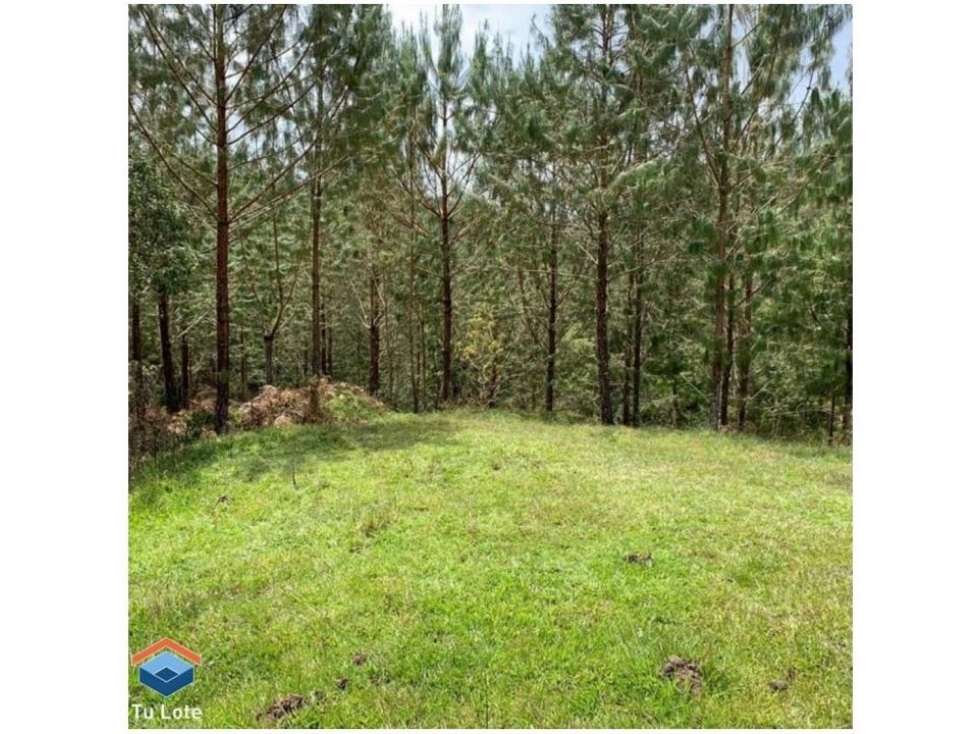 LOTE DE 23 CUADRAS PARA VENTA EN EL CARMEN DE VIBORAL — foto 5
