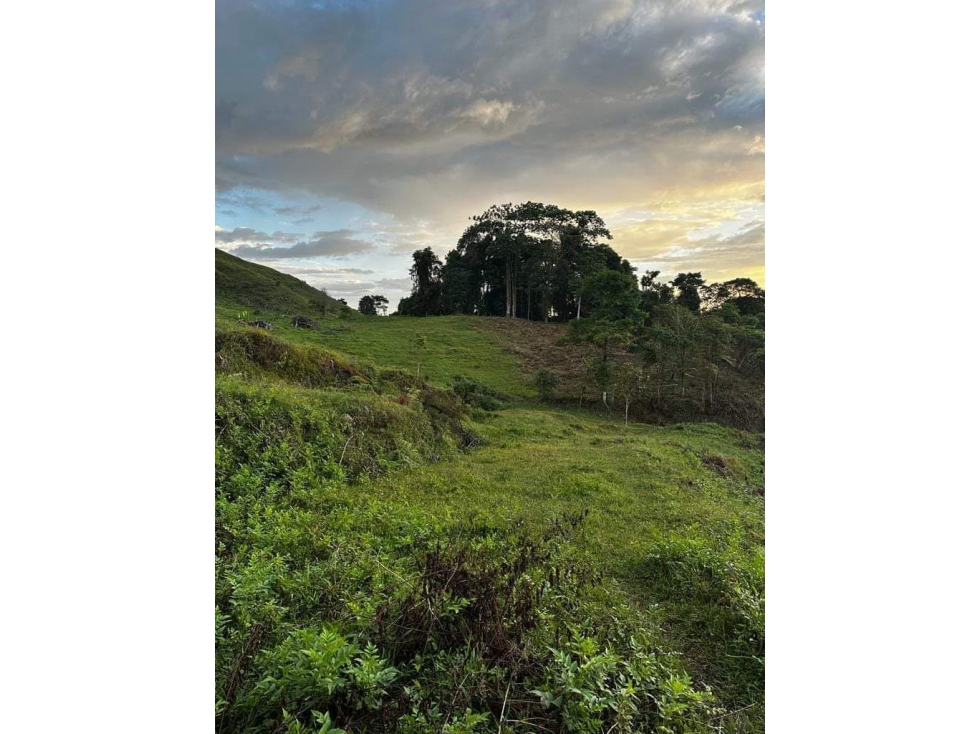 Lote de 2.749m2 en parcelación en venta La Buitrera Palmira Valle — foto 2