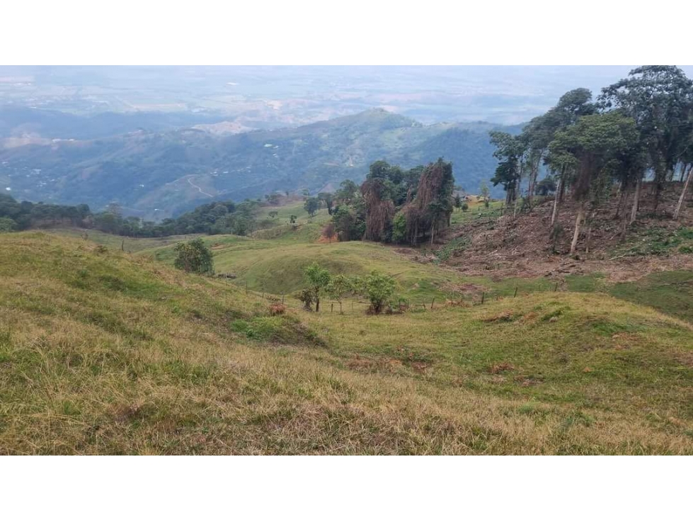 Lote de 2.749m2 en parcelación en venta La Buitrera Palmira Valle — foto 3