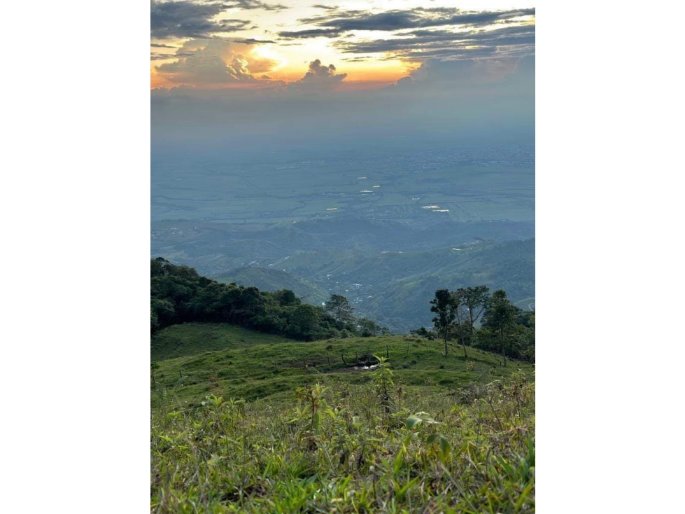Lote de 2.749m2 en parcelación en venta La Buitrera Palmira Valle — foto 4
