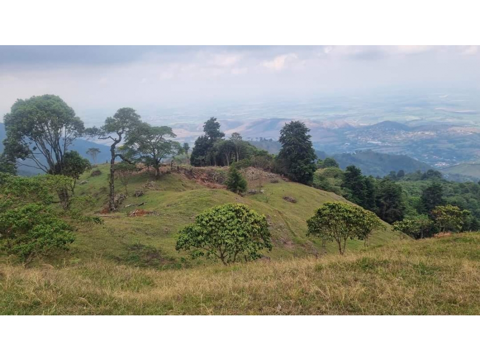 Lote de 2.749m2 en parcelación en venta La Buitrera Palmira Valle — foto 5