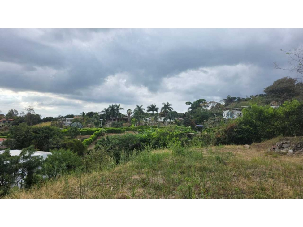 Lote de 2924 M2 vía Anapoima a 5 min del La Mesa Cund, campestre - 4