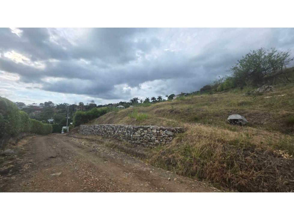 Lote de 2924 M2 vía Anapoima a 5 min del La Mesa Cund, campestre - 6