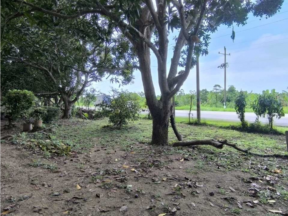 Lote de 38000 m2 a orilla de carretera a 3 kms del mar, buritaca - 3