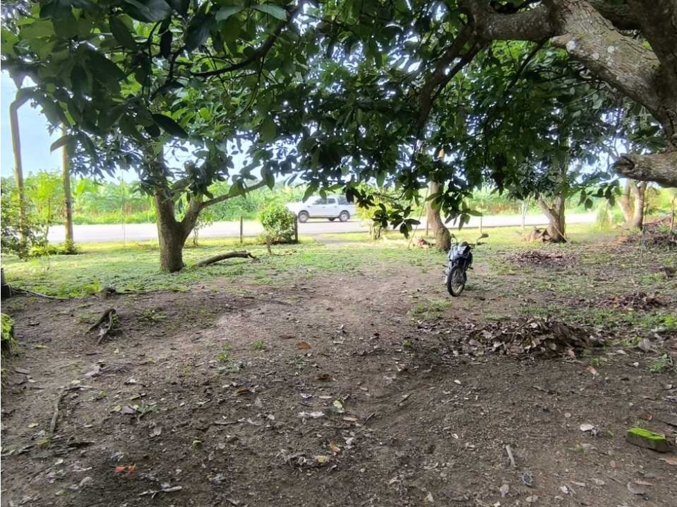 Lote de 38000 m2 a orilla de carretera a 3 kms del mar, buritaca - 2