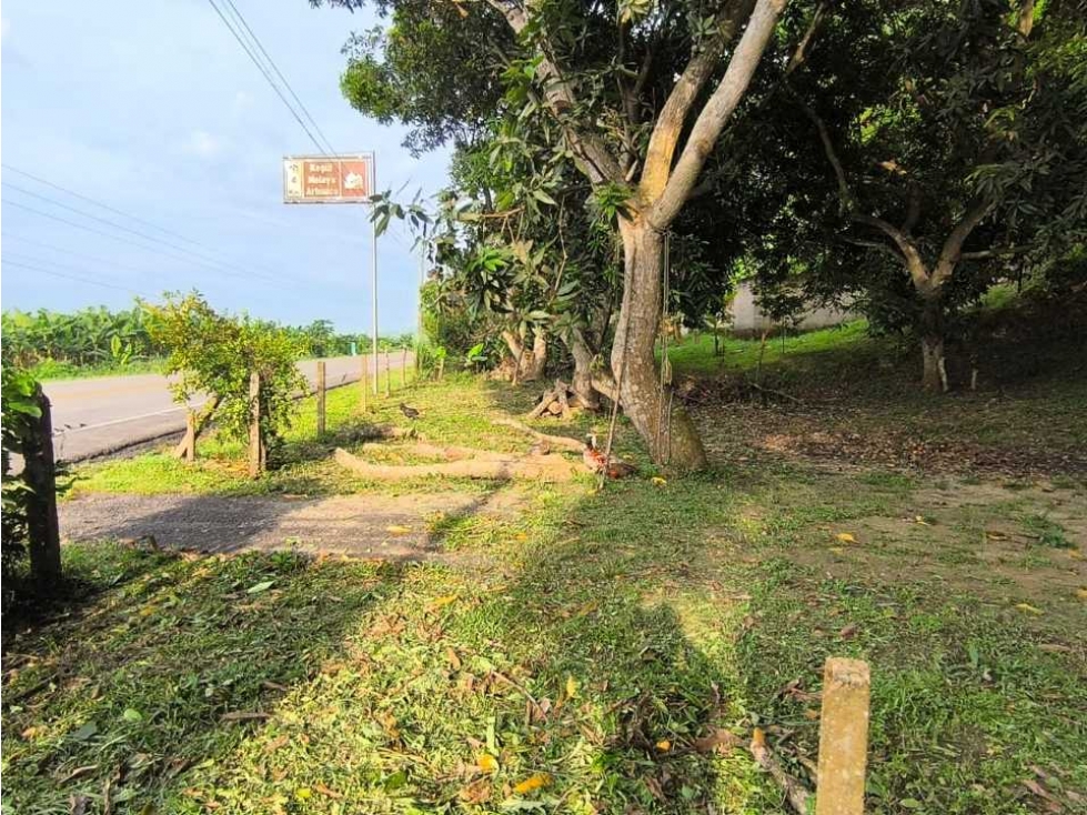 Lote de 38000 m2 a orilla de carretera a 3 kms del mar, buritaca - 4