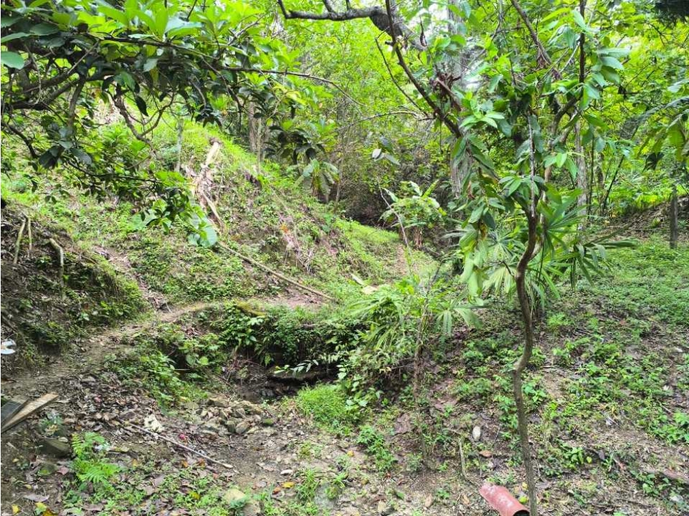 Lote de 38000 m2 a orilla de carretera a 3 kms del mar, buritaca - 5
