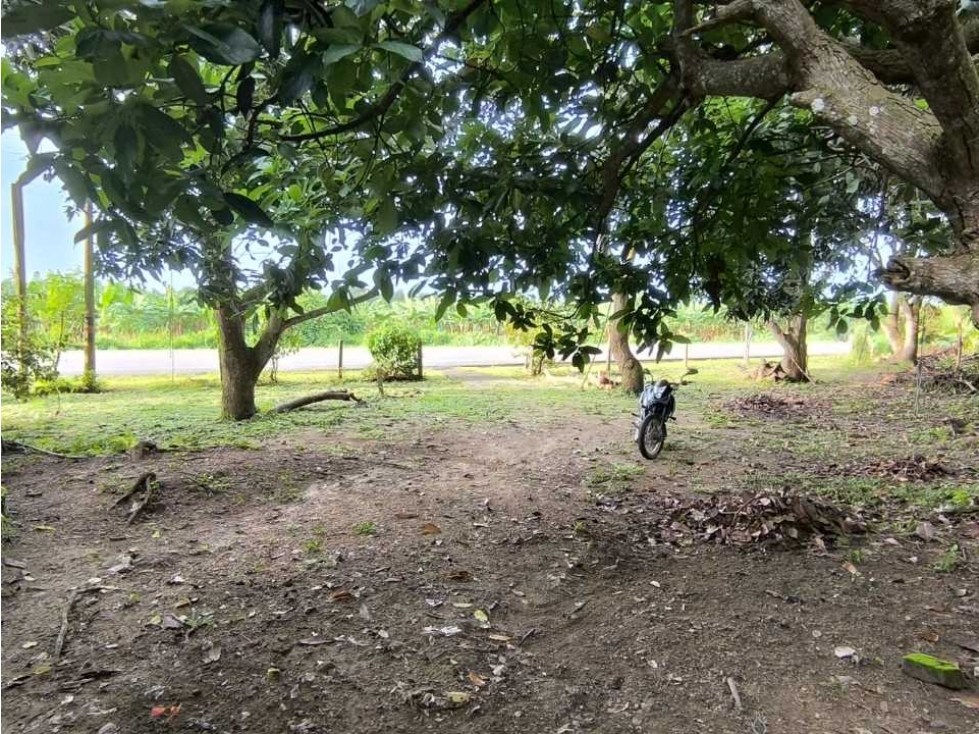 Lote de 38000 m2 a orilla de carretera a 3 kms del mar, buritaca - 6