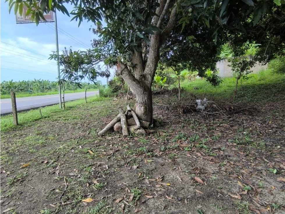 Lote de 38000 m2 a orilla de carretera a 3 kms del mar, buritaca - 1