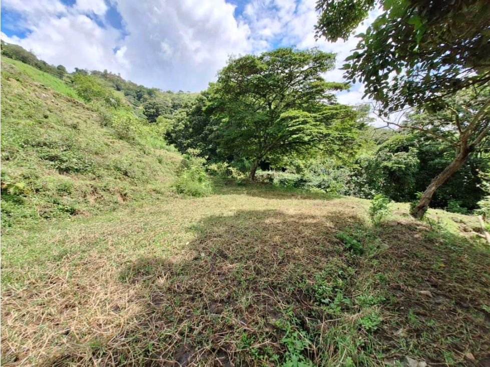LOTE DE 3640 METROS VEREDA EL TOTUMO DE GIRARDOTA — foto 5