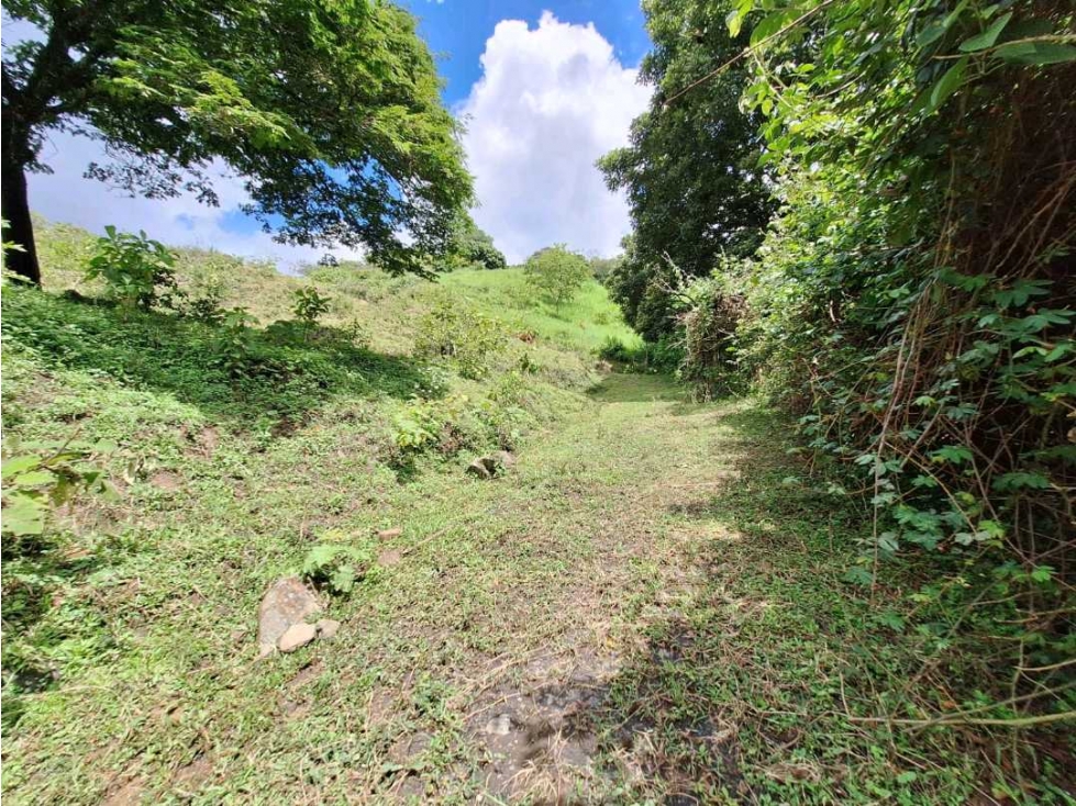 LOTE DE 3640 METROS VEREDA EL TOTUMO DE GIRARDOTA — foto 6