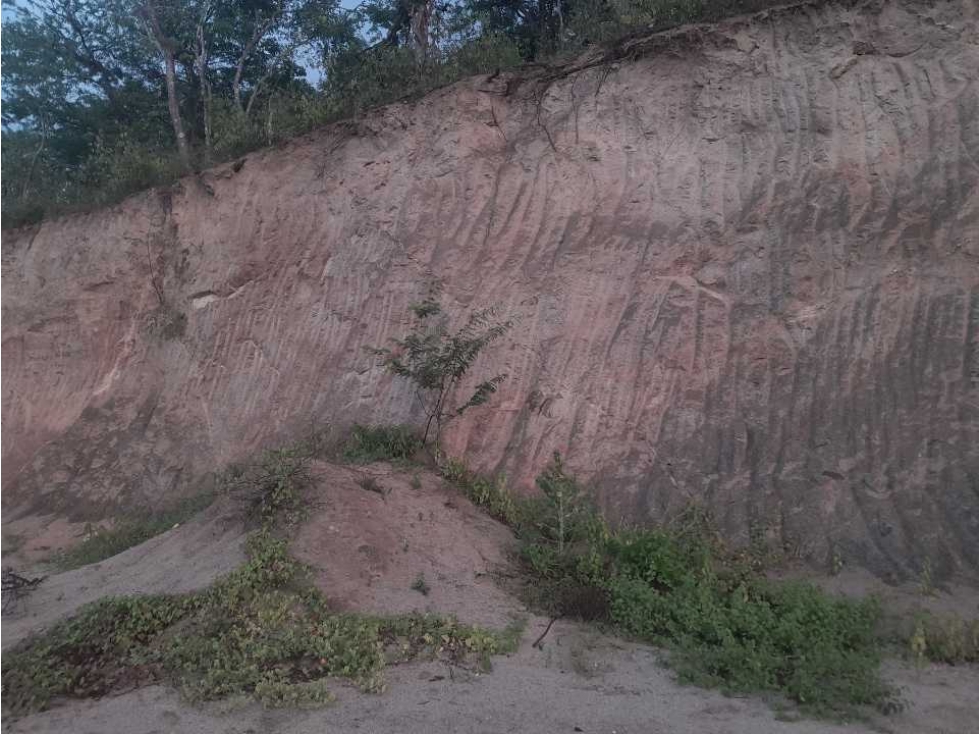 Lote de 600m2 tapiado, con alberca y poza séptica, 20 de octubre — foto 4