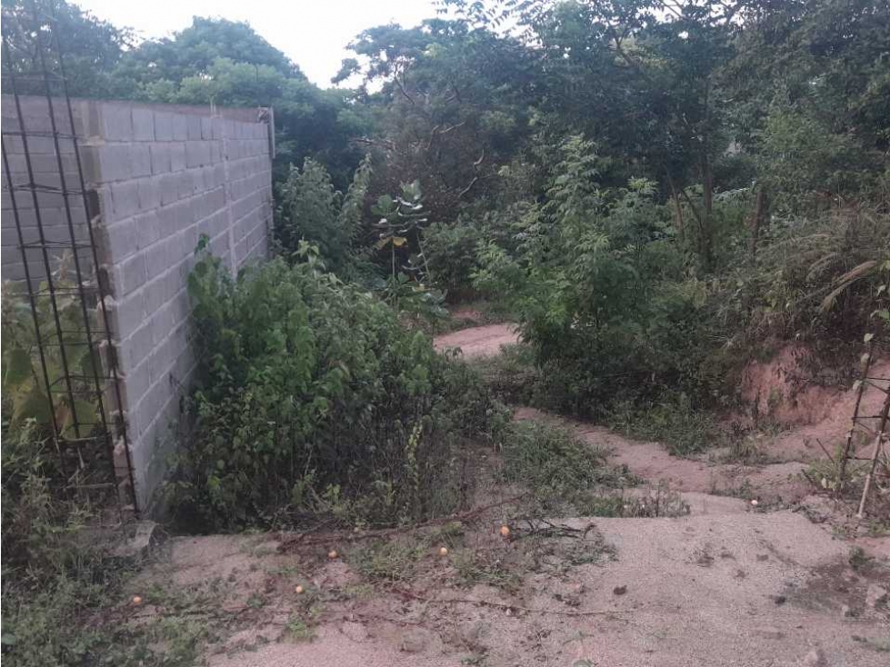 Lote de 600m2 tapiado, con alberca y poza séptica, 20 de octubre — foto 6