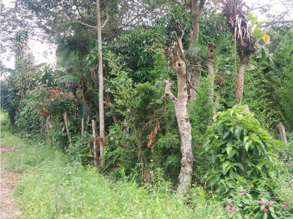 Lote de 739 M2 en 170 mill con construcciòn en El Ocaso Vía Cachipay — foto 5