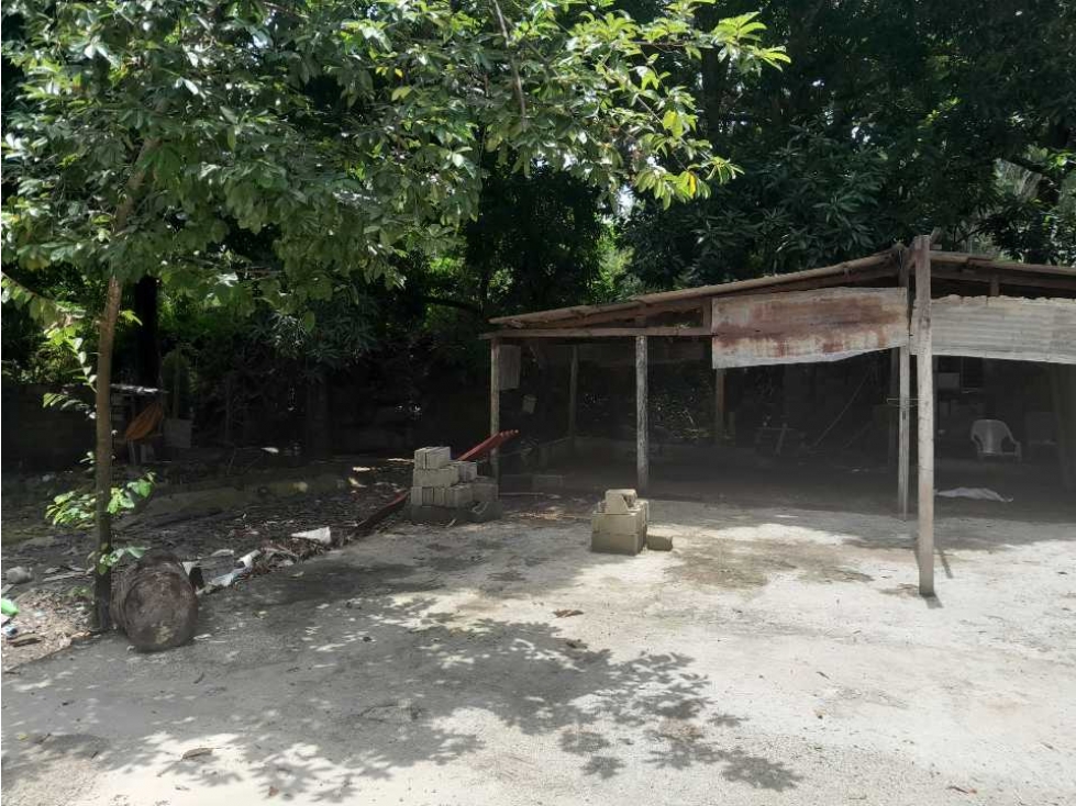 Lote de 800m2 sobre vía principal con quebrada en tigrera vía a minca - 4