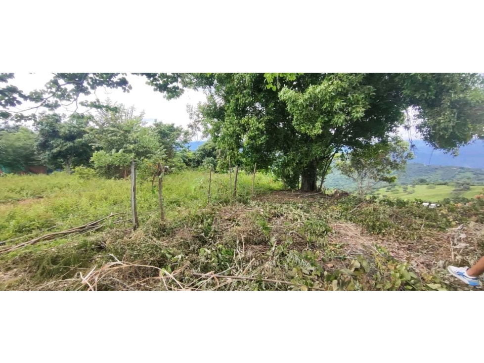 Lote de 950 M2 aprox en 69 millones negociables en La Mesa Cund — foto 4