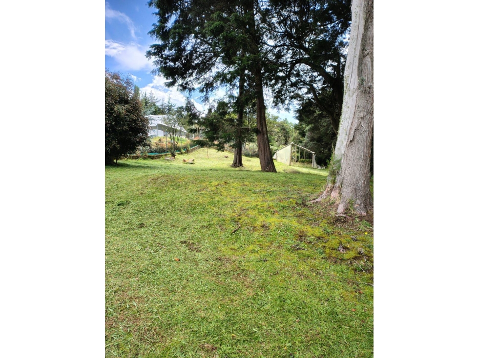 LOTE EN LA VEREDA PERICO/ ALTO DE LAS PALMAS/ NORMA 4 CASAS — foto 3