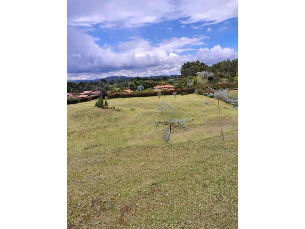 LOTE EN LA VEREDA PERICO/ ALTO DE LAS PALMAS/ NORMA 4 CASAS — foto 4