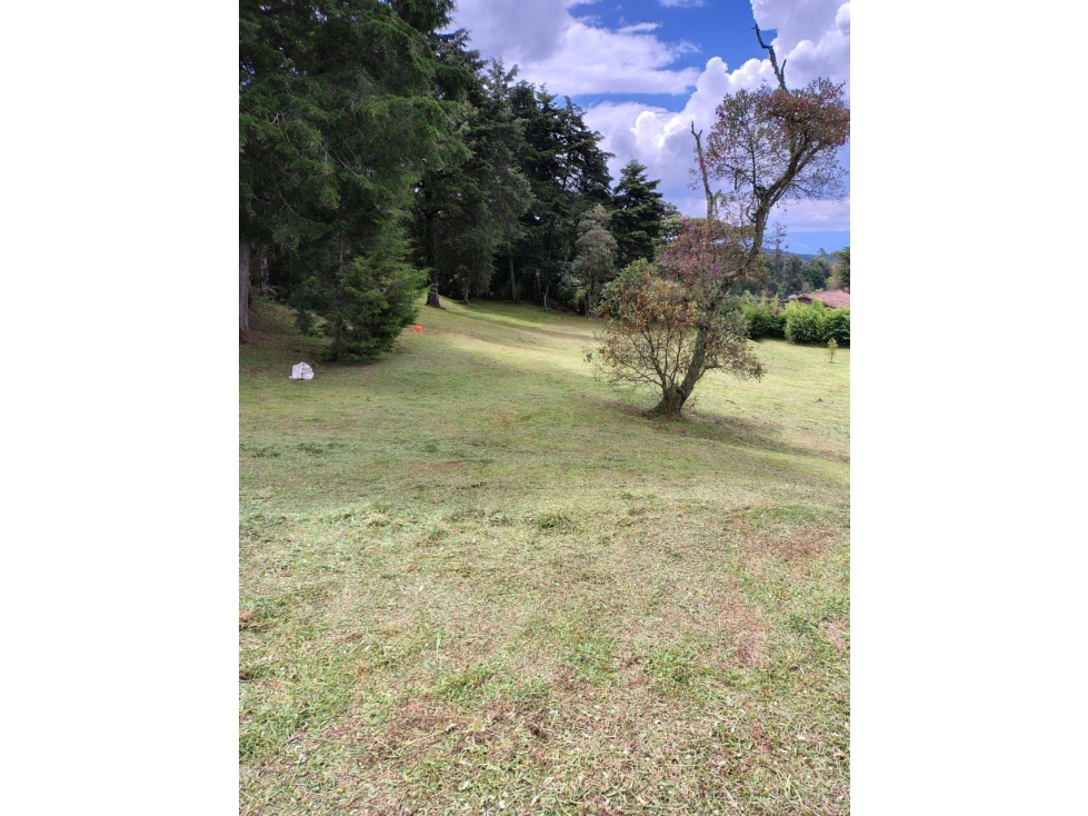 LOTE EN LA VEREDA PERICO/ ALTO DE LAS PALMAS/ NORMA 4 CASAS — foto 5