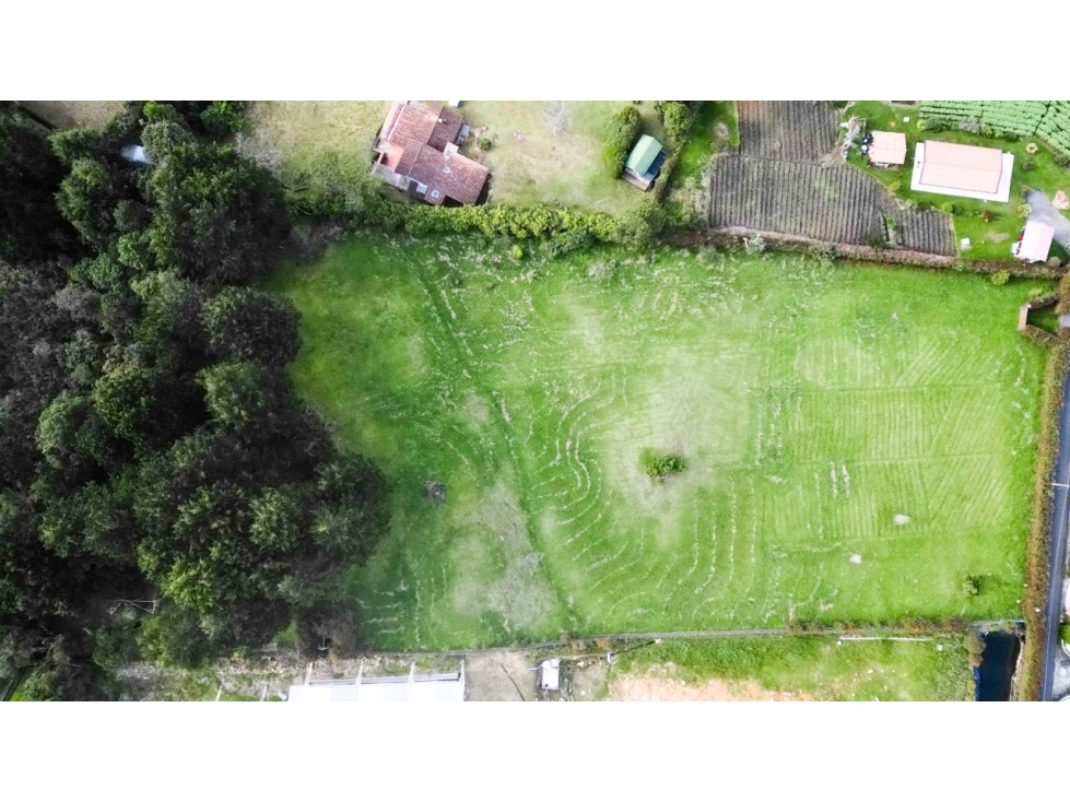 LOTE EN LA VEREDA PERICO/ ALTO DE LAS PALMAS/ NORMA 4 CASAS — foto 2