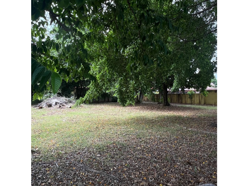 Lote de 990 m² sobre Avenida Punta Prieta Coronado — foto 5