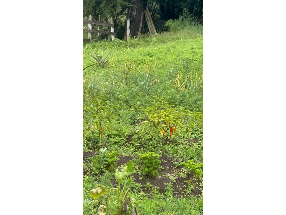 LOTE DE ALTO POTENCIAL EN MARINILLA ~ SUBDIVUSIBLE EN PARCELAS — foto 4