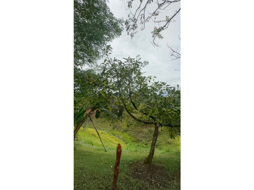 LOTE DE ALTO POTENCIAL EN MARINILLA ~ SUBDIVUSIBLE EN PARCELAS — foto 5