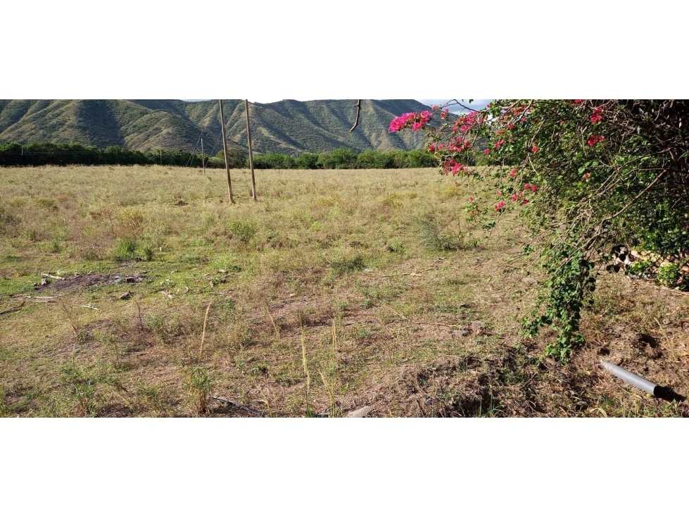 LOTE DE TERRENO CORREGIMIENTO EL HIGUERONCITO PREDIO EL PRADO - 1