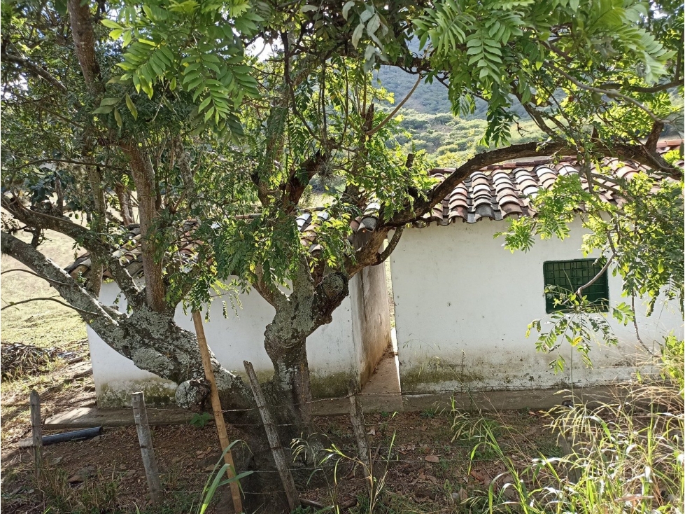 LOTE DE TERRENO CORREGIMIENTO EL HIGUERONCITO PREDIO EL PRADO - 2