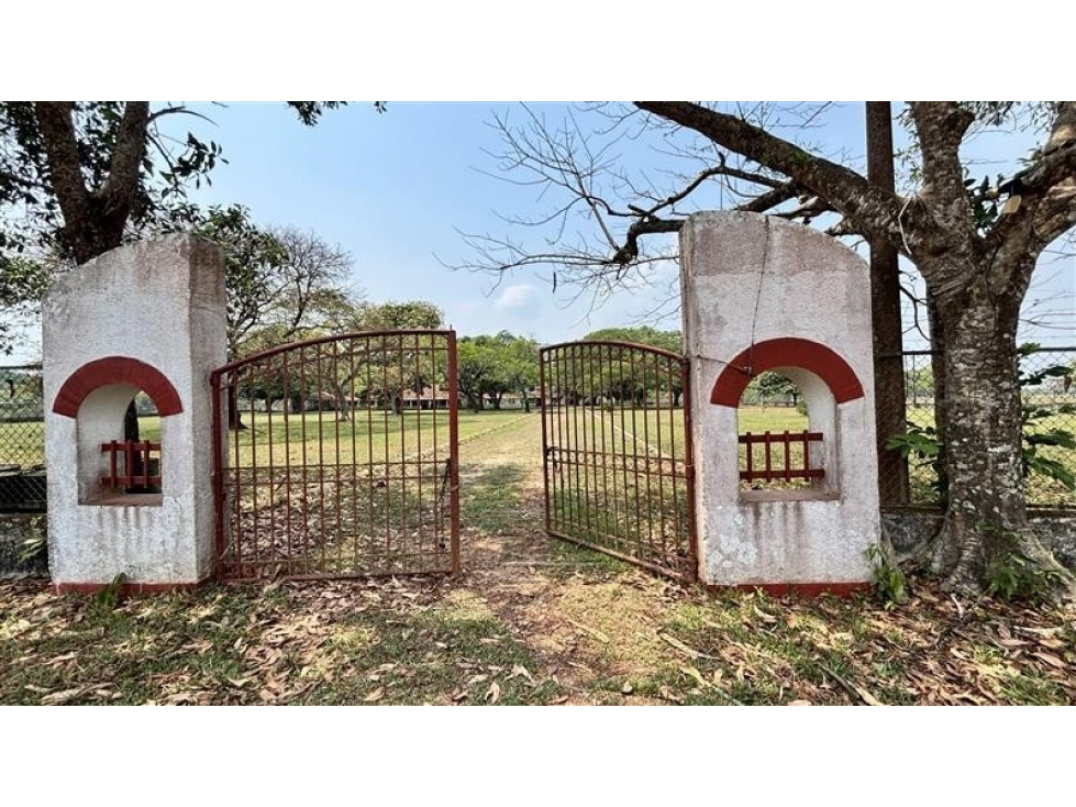 LOTE DE TERRENO EL DIAMANTE VDA GUARINOCITO - 1