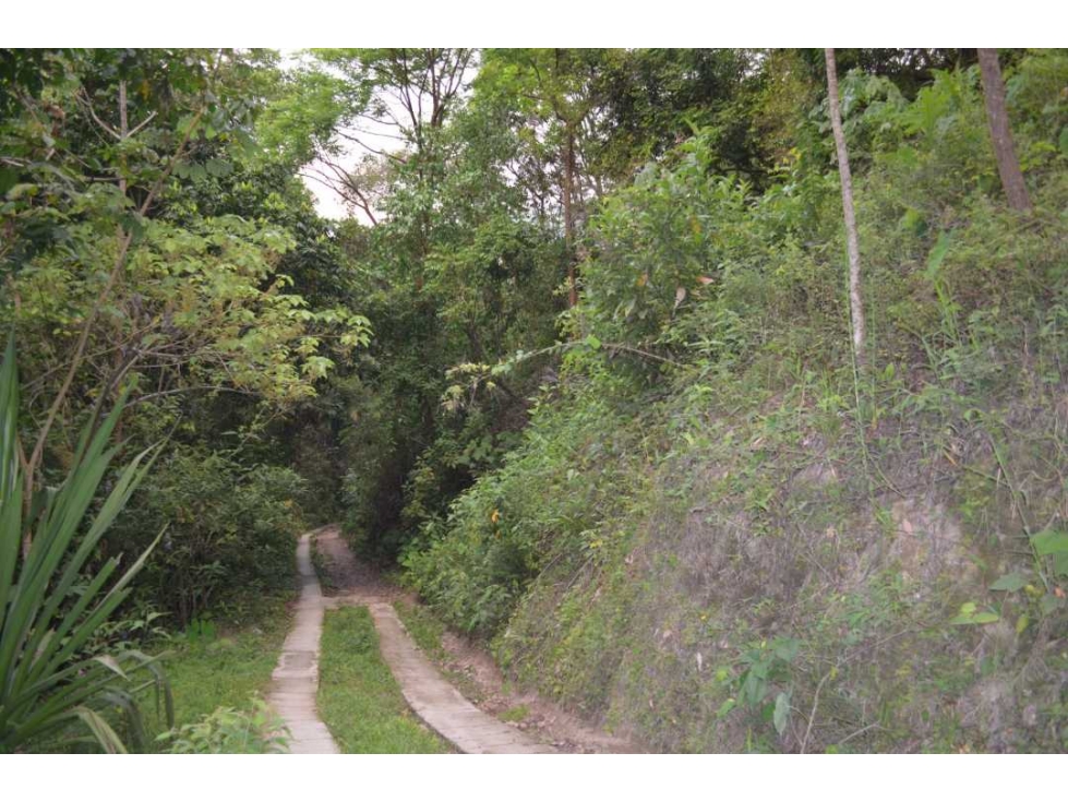 Lote de terreno en Minca Santa Marta - 2