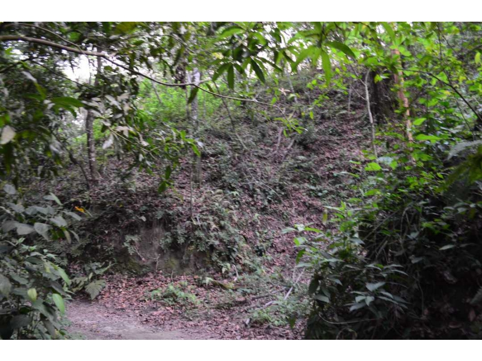 Lote de terreno en Minca Santa Marta - 4