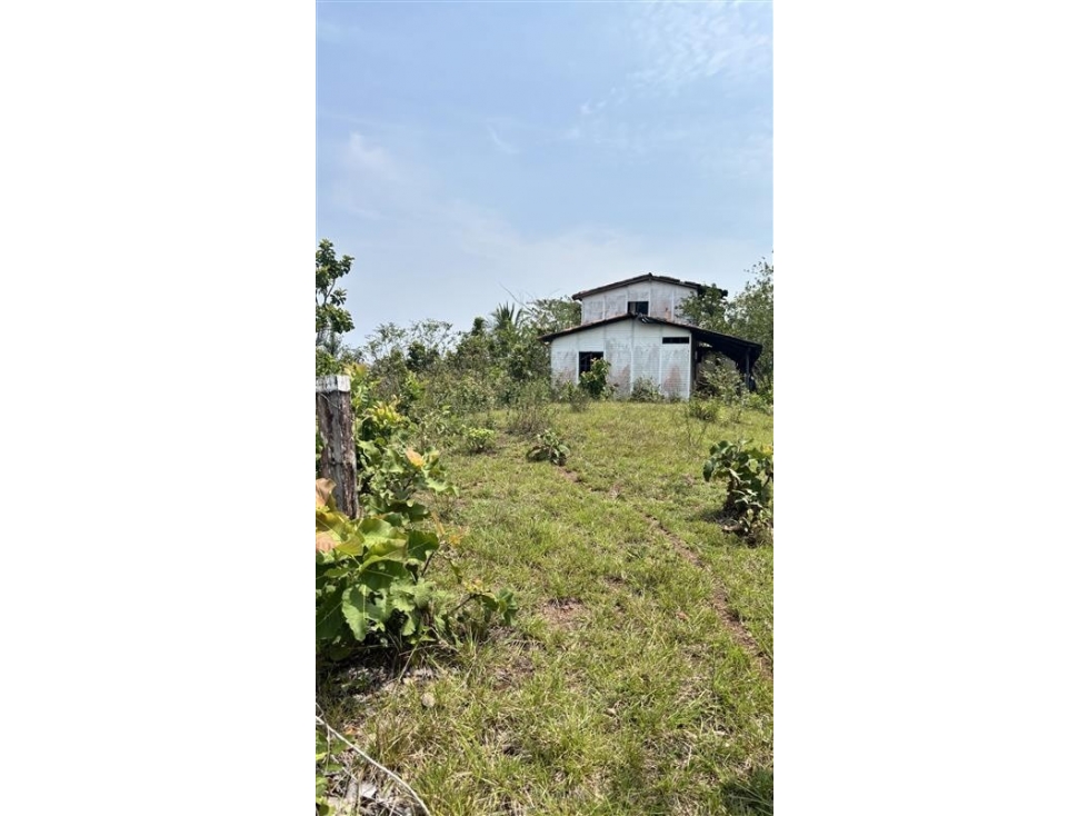 LOTE DE TERRENO LA PRIMAVERA VDA GUARINOCITO - 1