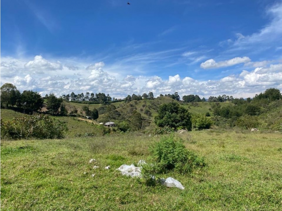 Lote de Uso Mixto para Venta Ideal para Inversionistas - 1