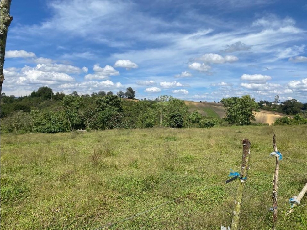 Lote de Uso Mixto para Venta Ideal para Inversionistas - 3