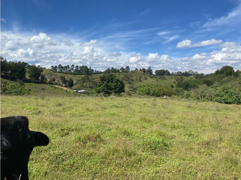 Lote de Uso Mixto para Venta Ideal para Inversionistas - 4