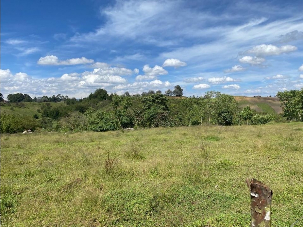 Lote de Uso Mixto para Venta Ideal para Inversionistas - 5